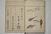 How to Draw Birds, Insects and Fish Simply (Chōjū ryakugashiki) 鳥獣略画式, Kuwagata Keisai 鍬形蕙斎 (Japanese, 1764–1824), Woodblock printed book; ink and color on paper, Japan