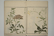 How to Draw Plants and Flowers Simply (Sōka ryakugashiki) 草花略画式, Kuwagata Keisai 鍬形蕙斎 (Japanese, 1764–1824), Woodblock printed book; ink and color on paper, Japan