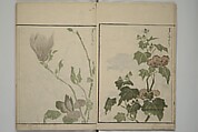 How to Draw Plants and Flowers Simply (Sōka ryakugashiki) 草花略画式, Kuwagata Keisai 鍬形蕙斎 (Japanese, 1764–1824), Woodblock printed book; ink and color on paper, Japan