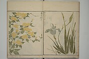 How to Draw Plants and Flowers Simply (Sōka ryakugashiki) 草花略画式, Kuwagata Keisai 鍬形蕙斎 (Japanese, 1764–1824), Woodblock printed book; ink and color on paper, Japan