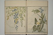 How to Draw Plants and Flowers Simply (Sōka ryakugashiki) 草花略画式, Kuwagata Keisai 鍬形蕙斎 (Japanese, 1764–1824), Woodblock printed book; ink and color on paper, Japan