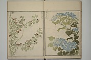 How to Draw Plants and Flowers Simply (Sōka ryakugashiki) 草花略画式, Kuwagata Keisai 鍬形蕙斎 (Japanese, 1764–1824), Woodblock printed book; ink and color on paper, Japan