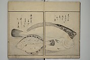 The Servants of the Dragon King of the Sea: Fish and Shells (Tatsu no miyatsuko gyokai fu) 龍の宮津子魚貝譜, Kuwagata Keisai 鍬形蕙斎 (Japanese, 1764–1824), Woodblock printed book; ink, color and mica on paper, Japan
