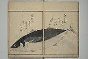The Servants of the Dragon King of the Sea: Fish and Shells (Tatsu no miyatsuko gyokai fu) 龍の宮津子魚貝譜, Kuwagata Keisai 鍬形蕙斎 (Japanese, 1764–1824), Woodblock printed book; ink, color and mica on paper, Japan