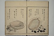 The Servants of the Dragon King of the Sea: Fish and Shells (Tatsu no miyatsuko gyokai fu) 龍の宮津子魚貝譜, Kuwagata Keisai 鍬形蕙斎 (Japanese, 1764–1824), Woodblock printed book; ink, color and mica on paper, Japan