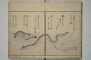 The Servants of the Dragon King of the Sea: Fish and Shells (Tatsu no miyatsuko gyokai fu) 龍の宮津子魚貝譜, Kuwagata Keisai 鍬形蕙斎 (Japanese, 1764–1824), Woodblock printed book; ink, color and mica on paper, Japan