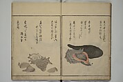 The Servants of the Dragon King of the Sea: Fish and Shells (Tatsu no miyatsuko gyokai fu) 龍の宮津子魚貝譜, Kuwagata Keisai 鍬形蕙斎 (Japanese, 1764–1824), Woodblock printed book; ink, color and mica on paper, Japan