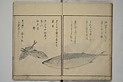 The Servants of the Dragon King of the Sea: Fish and Shells (Tatsu no miyatsuko gyokai fu) 龍の宮津子魚貝譜, Kuwagata Keisai 鍬形蕙斎 (Japanese, 1764–1824), Woodblock printed book; ink, color and mica on paper, Japan