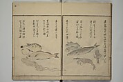 The Servants of the Dragon King of the Sea: Fish and Shells (Tatsu no miyatsuko gyokai fu) 龍の宮津子魚貝譜, Kuwagata Keisai 鍬形蕙斎 (Japanese, 1764–1824), Woodblock printed book; ink, color and mica on paper, Japan