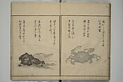 The Servants of the Dragon King of the Sea: Fish and Shells (Tatsu no miyatsuko gyokai fu) 龍の宮津子魚貝譜, Kuwagata Keisai 鍬形蕙斎 (Japanese, 1764–1824), Woodblock printed book; ink, color and mica on paper, Japan
