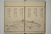 The Servants of the Dragon King of the Sea: Fish and Shells (Tatsu no miyatsuko gyokai fu) 龍の宮津子魚貝譜, Kuwagata Keisai 鍬形蕙斎 (Japanese, 1764–1824), Woodblock printed book; ink, color and mica on paper, Japan