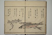 The Servants of the Dragon King of the Sea: Fish and Shells (Tatsu no miyatsuko gyokai fu) 龍の宮津子魚貝譜, Kuwagata Keisai 鍬形蕙斎 (Japanese, 1764–1824), Woodblock printed book; ink, color and mica on paper, Japan