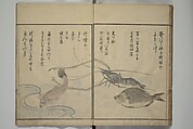 The Servants of the Dragon King of the Sea: Fish and Shells (Tatsu no miyatsuko gyokai fu) 龍の宮津子魚貝譜, Kuwagata Keisai 鍬形蕙斎 (Japanese, 1764–1824), Woodblock printed book; ink, color and mica on paper, Japan