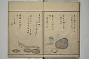 The Servants of the Dragon King of the Sea: Fish and Shells (Tatsu no miyatsuko gyokai fu) 龍の宮津子魚貝譜, Kuwagata Keisai 鍬形蕙斎 (Japanese, 1764–1824), Woodblock printed book; ink, color and mica on paper, Japan