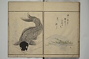 The Servants of the Dragon King of the Sea: Fish and Shells (Tatsu no miyatsuko gyokai fu) 龍の宮津子魚貝譜, Kuwagata Keisai 鍬形蕙斎 (Japanese, 1764–1824), Woodblock printed book; ink, color and mica on paper, Japan