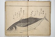 The Servants of the Dragon King of the Sea: Fish and Shells (Tatsu no miyatsuko gyokai fu) 龍の宮津子魚貝譜, Kuwagata Keisai 鍬形蕙斎 (Japanese, 1764–1824), Woodblock printed book; ink and color on paper, Japan