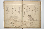 The Servants of the Dragon King of the Sea: Fish and Shells (Tatsu no miyatsuko gyokai fu) 龍の宮津子魚貝譜, Kuwagata Keisai 鍬形蕙斎 (Japanese, 1764–1824), Woodblock printed book; ink and color on paper, Japan