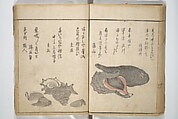 The Servants of the Dragon King of the Sea: Fish and Shells (Tatsu no miyatsuko gyokai fu) 龍の宮津子魚貝譜, Kuwagata Keisai 鍬形蕙斎 (Japanese, 1764–1824), Woodblock printed book; ink and color on paper, Japan