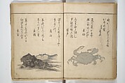 The Servants of the Dragon King of the Sea: Fish and Shells (Tatsu no miyatsuko gyokai fu) 龍の宮津子魚貝譜, Kuwagata Keisai 鍬形蕙斎 (Japanese, 1764–1824), Woodblock printed book; ink and color on paper, Japan