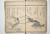 The Servants of the Dragon King of the Sea: Fish and Shells (Tatsu no miyatsuko gyokai fu) 龍の宮津子魚貝譜, Kuwagata Keisai 鍬形蕙斎 (Japanese, 1764–1824), Woodblock printed book; ink and color on paper, Japan