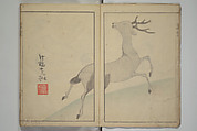 Kōrin's painting style (Kōrin gashiki) 光琳画式, Aikawa Minwa 合川珉和 (Japanese, active 1806–1821), Woodblock printed book; ink and color on paper, Japan