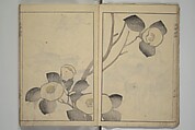 Kōrin's painting style (Kōrin gashiki) 光琳画式, Aikawa Minwa 合川珉和 (Japanese, active 1806–1821), Woodblock printed book; ink and color on paper, Japan