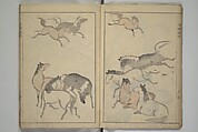 Kōrin's painting style (Kōrin gashiki) 光琳画式, Aikawa Minwa 合川珉和 (Japanese, active 1806–1821), Woodblock printed book; ink and color on paper, Japan