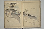 Kōrin's painting style (Kōrin gashiki) 光琳画式, Aikawa Minwa 合川珉和 (Japanese, active 1806–1821), Woodblock printed book; ink and color on paper, Japan