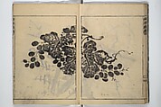The Moving Brush in "Rough" Painting (Unpitsu soga) 運筆麁画, Tachibana Morikuni 橘守国 (Japanese, 1679–1748), Set of three woodblock printed books; ink on paper, Japan