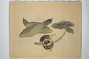 A Picture Book of Practice Sketches (Keiko ehon) 稽古絵本, Rinsai Ōkubo 林斎大久保 (Japanese, 19th century), Bound volume of drawings; ink and color on paper, Japan