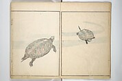 Picture Album by Old Man Maruyama (En'ō gafu)  円翁画譜, After Maruyama Ōkyo 円山応挙 (Japanese, 1733–1795), Set of two woodblock printed books; ink and color on paper, Japan