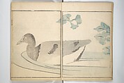 Picture Album by Old Man Maruyama (En'ō gafu)  円翁画譜, After Maruyama Ōkyo 円山応挙 (Japanese, 1733–1795), Set of two woodblock printed books; ink and color on paper, Japan