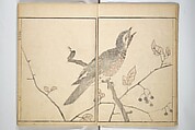Picture Album by Old Man Maruyama (En'ō gafu)  円翁画譜, After Maruyama Ōkyo 円山応挙 (Japanese, 1733–1795), Set of two woodblock printed books; ink and color on paper, Japan