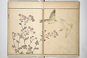 Picture Album by Old Man Maruyama (En'ō gafu)  円翁画譜, After Maruyama Ōkyo 円山応挙 (Japanese, 1733–1795), Set of two woodblock printed books; ink and color on paper, Japan