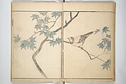 Picture Album by Old Man Maruyama (En'ō gafu)  円翁画譜, After Maruyama Ōkyo 円山応挙 (Japanese, 1733–1795), Set of two woodblock printed books; ink and color on paper, Japan