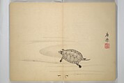 Ōkyō Picture Album (Ōkyo gafu) 應舉画譜, After Maruyama Ōkyo 円山応挙 (Japanese, 1733–1795), Woodblock printed book (orihon, accordion-style); ink and color on paper, Japan