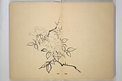 Ōkyō Picture Album (Ōkyo gafu) 應舉画譜, After Maruyama Ōkyo 円山応挙 (Japanese, 1733–1795), Woodblock printed book (orihon, accordion-style); ink and color on paper, Japan