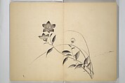 Ōkyō Picture Album (Ōkyo gafu) 應舉画譜, After Maruyama Ōkyo 円山応挙 (Japanese, 1733–1795), Woodblock printed book (orihon, accordion-style); ink and color on paper, Japan