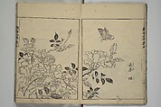 Essentials of Painting (Ehon hitsuyō), Illustrations by Nakaji Sadatoshi (Japanese, active 1716–36), Woodblock-printed book; ink and color on paper, Japan