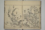 Essentials of Painting (Ehon hitsuyō), Illustrations by Nakaji Sadatoshi (Japanese, active 1716–36), Woodblock-printed book; ink and color on paper, Japan