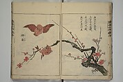 Essentials of Painting (Ehon hitsuyō), Illustrations by Nakaji Sadatoshi (Japanese, active 1716–36), Woodblock-printed book; ink and color on paper, Japan
