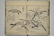 Essentials of Painting (Ehon hitsuyō), Illustrations by Nakaji Sadatoshi (Japanese, active 1716–36), Woodblock-printed book; ink and color on paper, Japan
