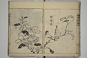 Essentials of Painting (Ehon hitsuyō), Illustrations by Nakaji Sadatoshi (Japanese, active 1716–36), Woodblock-printed book; ink and color on paper, Japan