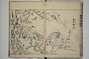 Essentials of Painting (Ehon hitsuyō), Illustrations by Nakaji Sadatoshi (Japanese, active 1716–36), Woodblock-printed book; ink and color on paper, Japan