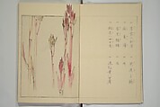 Picture Album of Birds and Flowers (Kachō gafu) 華鳥画譜, Watanabe Seitei 渡辺省亭 (Japanese, 1851–1918), Woodblock printed book; ink and color on paper, Japan