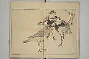 Picture Album of Birds and Flowers (Kachō gafu) 華鳥画譜, Watanabe Seitei 渡辺省亭 (Japanese, 1851–1918), Woodblock printed book; ink and color on paper, Japan
