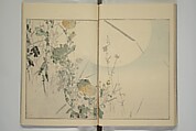 Picture Album of Birds and Flowers (Kachō gafu) 華鳥画譜, Watanabe Seitei 渡辺省亭 (Japanese, 1851–1918), Woodblock printed book; ink and color on paper, Japan