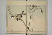 Picture Album of Birds and Flowers (Kachō gafu) 華鳥画譜, Watanabe Seitei 渡辺省亭 (Japanese, 1851–1918), Woodblock printed book; ink and color on paper, Japan