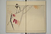 Picture Album of Birds and Flowers (Kachō gafu) 華鳥画譜, Watanabe Seitei 渡辺省亭 (Japanese, 1851–1918), Woodblock printed book; ink and color on paper, Japan