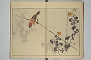Picture Album of Birds and Flowers (Seitei Kachō gafu)  省亭花鳥画譜, Watanabe Seitei 渡辺省亭 (Japanese, 1851–1918), Set of three woodblock printed books attached by thread binding; ink and color on paper, Japan